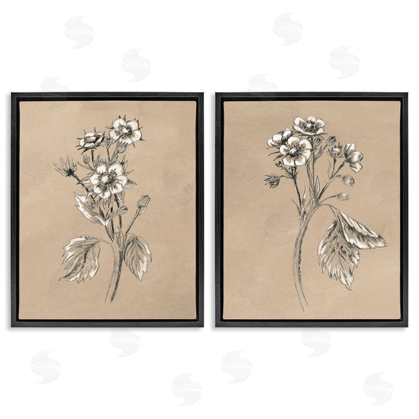 Stupell Industries June Erica Vess | Vintage Sketch Botanical Wall Art