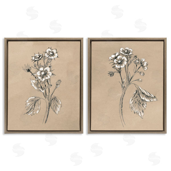 Stupell Industries June Erica Vess | Vintage Sketch Botanical Wall Art