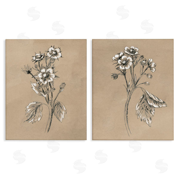 stupell industries June Erica Vess | Vintage Sketch Botanical Wall Art