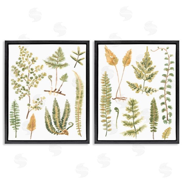 Stupell Industries June Erica Vess | Watercolor Fern Leaves Wall Art