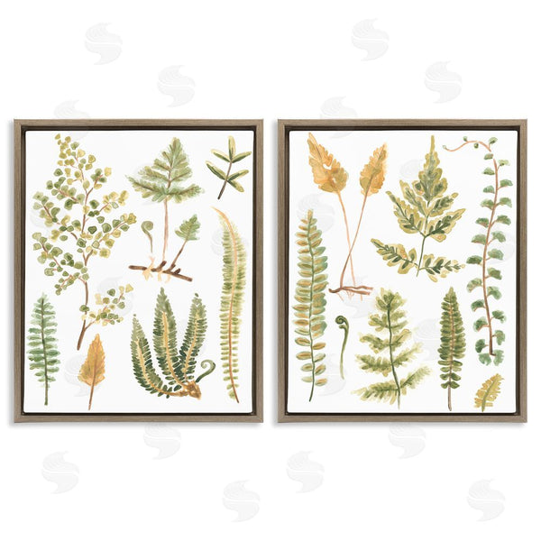 Stupell Industries June Erica Vess | Watercolor Fern Leaves Wall Art