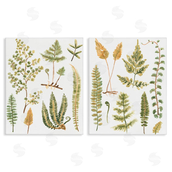 stupell industries June Erica Vess | Watercolor Fern Leaves Wall Art