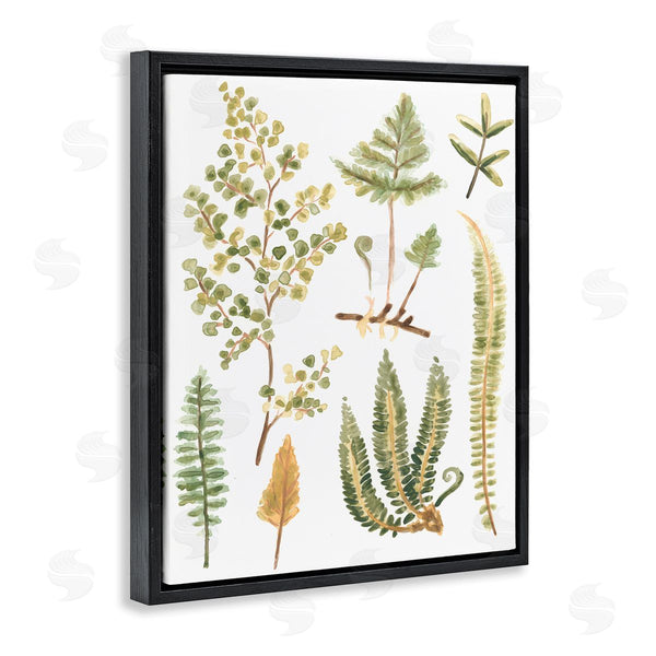 Stupell Industries June Erica Vess | Wild Forest Ferns