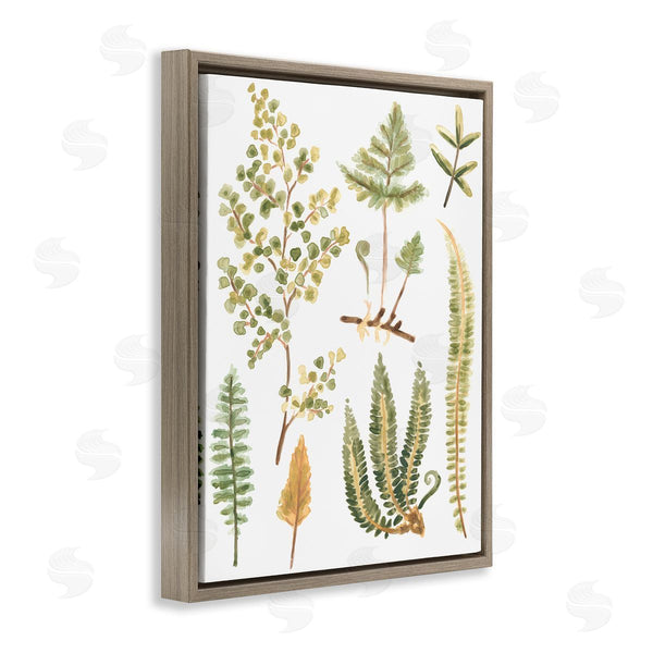 Stupell Industries June Erica Vess | Wild Forest Ferns