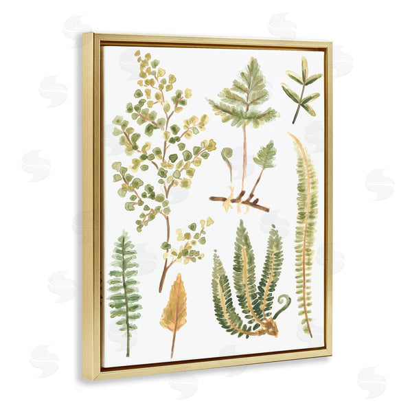 Stupell Industries June Erica Vess | Wild Forest Ferns
