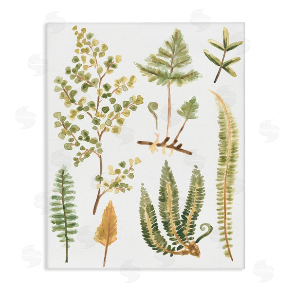stupell industries June Erica Vess | Wild Forest Ferns