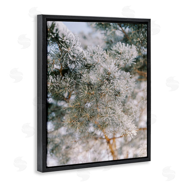 Stupell Industries Justine Milton | Frosted Fir Tree Branches Wall Art