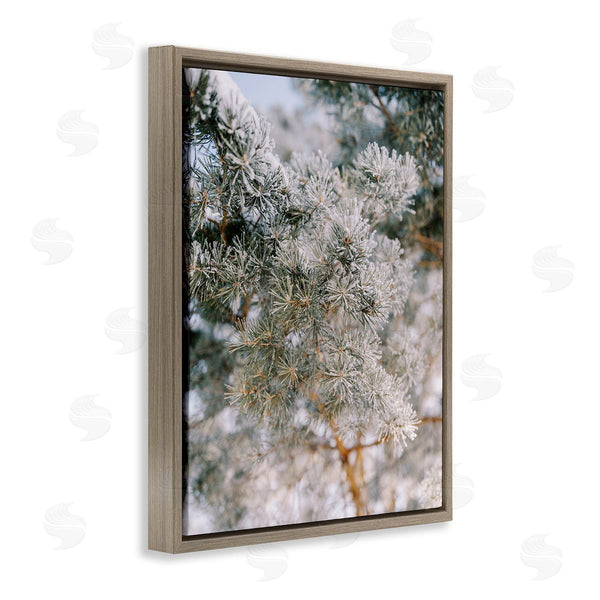 Stupell Industries Justine Milton | Frosted Fir Tree Branches Wall Art