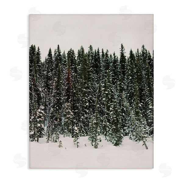 stupell industries Justine Milton | Winter Forest Grove