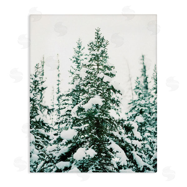 stupell industries Justine Milton | Woodland Fir with Snow Wall Art
