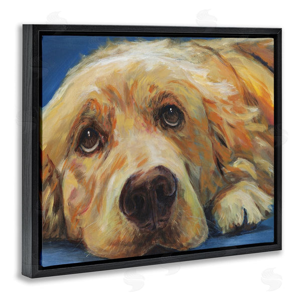 Stupell Industries Kamdon Kreations | Golden Retriever Begging Eyes Expressive Dog Portrait Wall Art