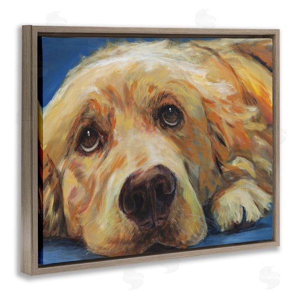 Stupell Industries Kamdon Kreations | Golden Retriever Begging Eyes Expressive Dog Portrait Wall Art