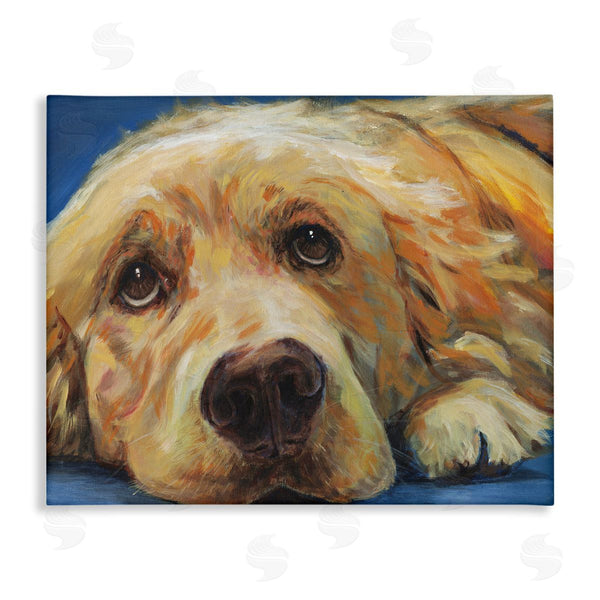 stupell industries Kamdon Kreations | Golden Retriever Begging Eyes Expressive Dog Portrait Wall Art