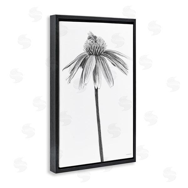 Stupell Industries Kamdon Kreations | Simple Daisy Sprig