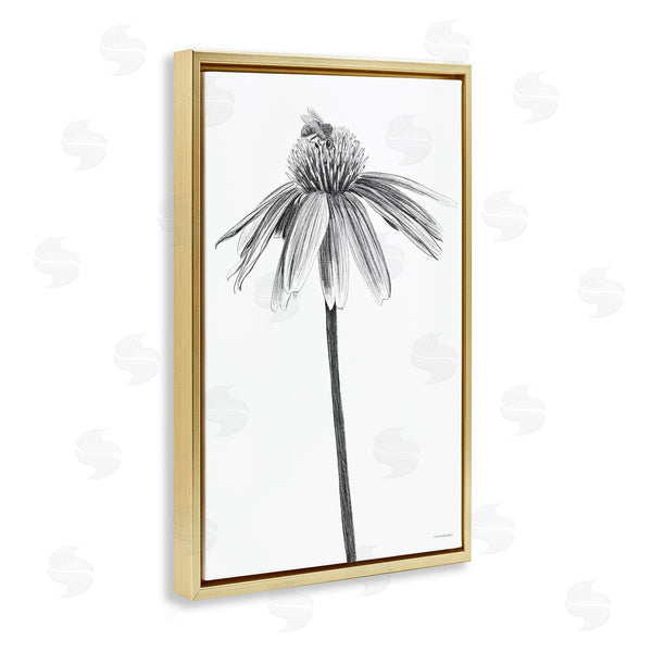 Stupell Industries Kamdon Kreations | Simple Daisy Sprig