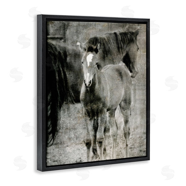 Stupell Industries Kamdon Kreations | Vintage Foal Horse Farmland Wall Art