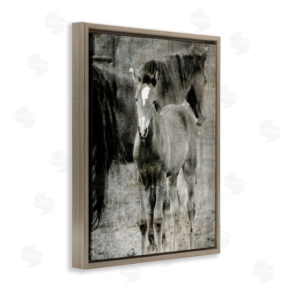 Stupell Industries Kamdon Kreations | Vintage Foal Horse Farmland Wall Art