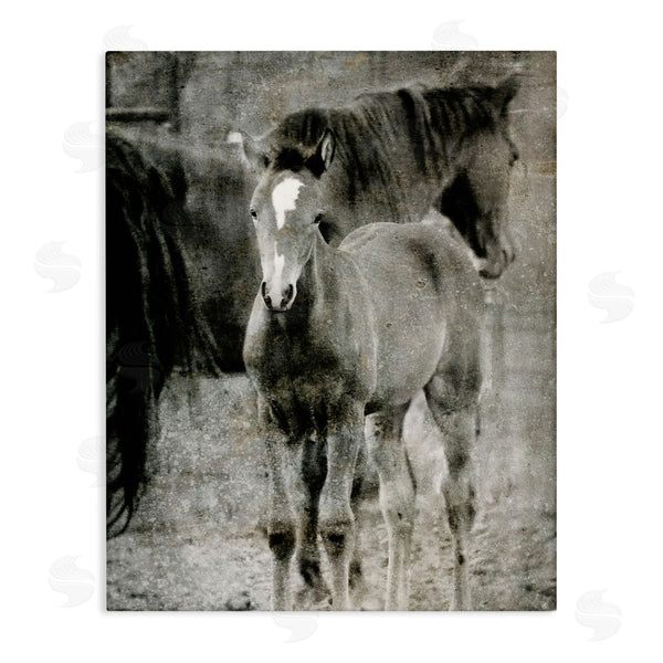 stupell industries Kamdon Kreations | Vintage Foal Horse Farmland Wall Art