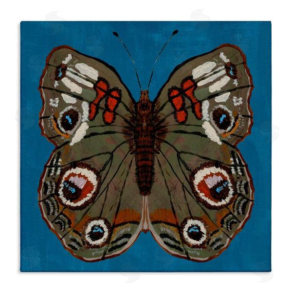 stupell industries Kara Keller Designs | Buckeye Butterfly Symmetry