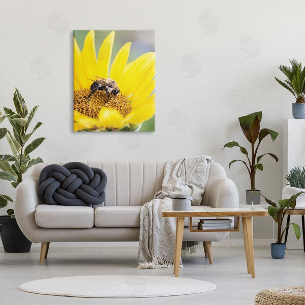 Stupell Industries Karen Burke | Bee & Sunflower Photography Wall Art