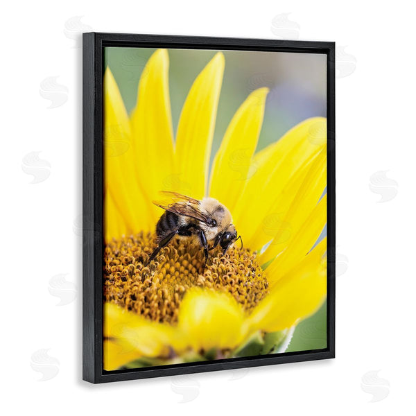 Stupell Industries Karen Burke | Bee & Sunflower Photography Wall Art