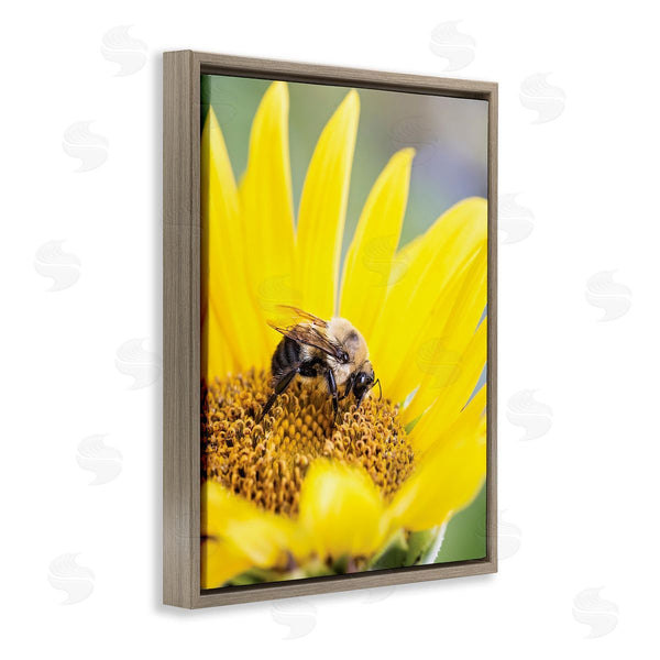Stupell Industries Karen Burke | Bee & Sunflower Photography Wall Art