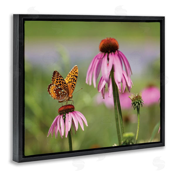 Stupell Industries Karen Burke | Butterfly On Purple Flower Wall Art