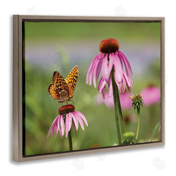 Stupell Industries Karen Burke | Butterfly On Purple Flower Wall Art