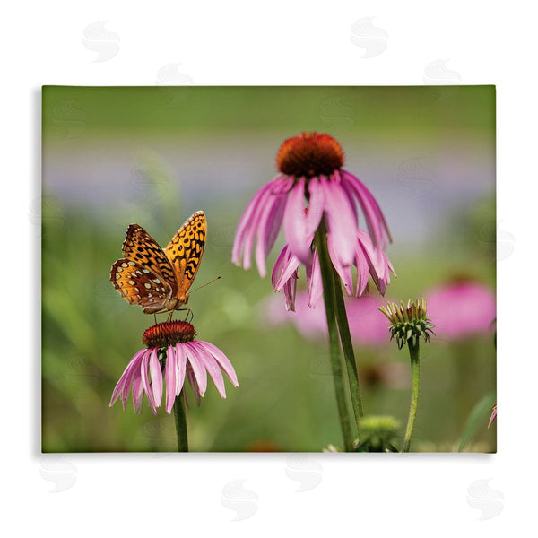 stupell industries Karen Burke | Butterfly on Purple Flower Wall Art