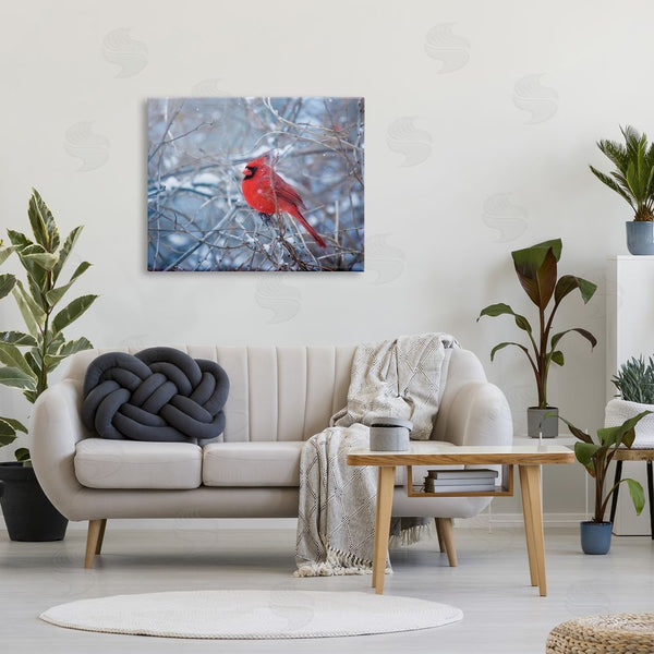 Stupell Industries Karen Burke | Cardinal In Winter Branches Wall Art