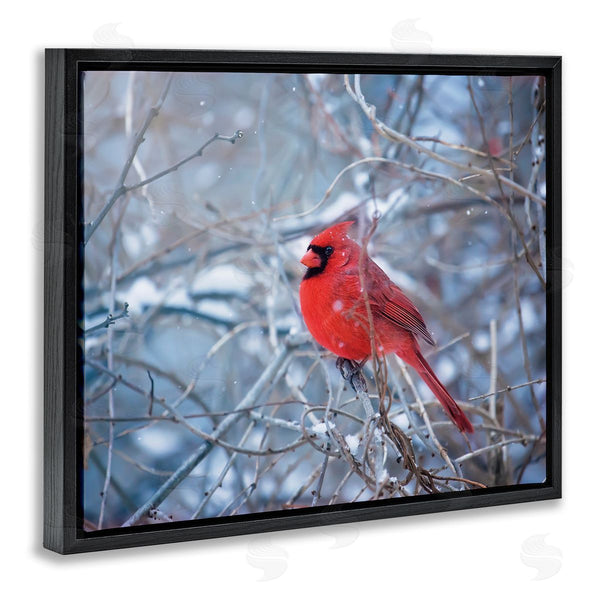 Stupell Industries Karen Burke | Cardinal In Winter Branches Wall Art