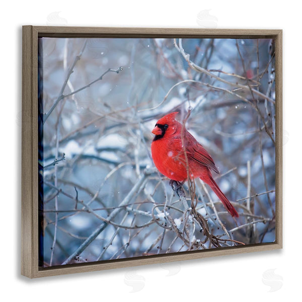 Stupell Industries Karen Burke | Cardinal In Winter Branches Wall Art