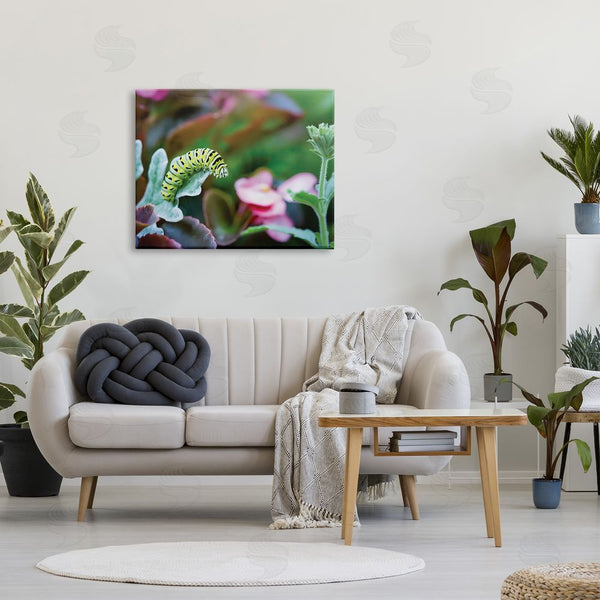 Stupell Industries Karen Burke | Caterpillar Nature Photography Wall Art