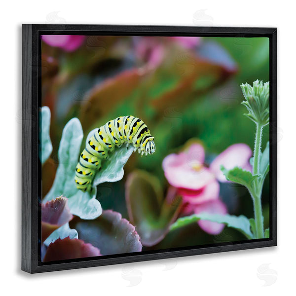 Stupell Industries Karen Burke | Caterpillar Nature Photography Wall Art