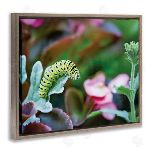 Stupell Industries Karen Burke | Caterpillar Nature Photography Wall Art