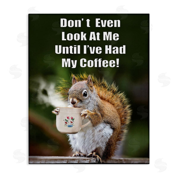 stupell industries Karen Burke | Funny Squirrel Coffee Phrase Wall Art