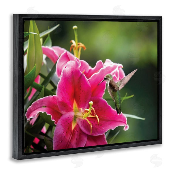 Stupell Industries Karen Burke | Hummingbird With Hibiscus Wall Art