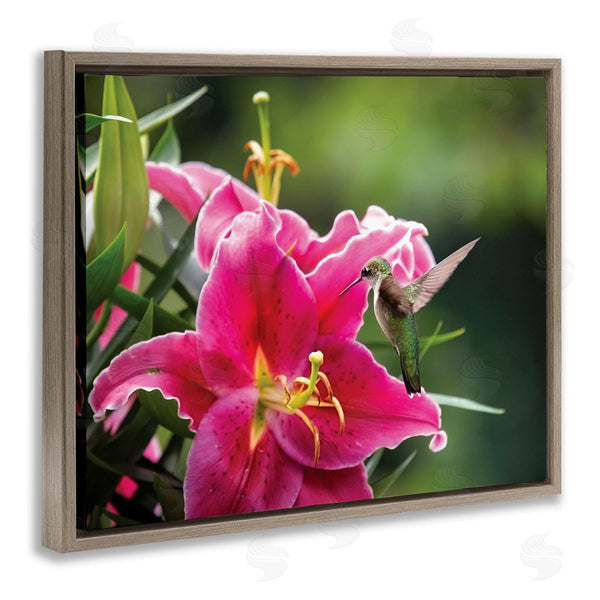 Stupell Industries Karen Burke | Hummingbird With Hibiscus Wall Art