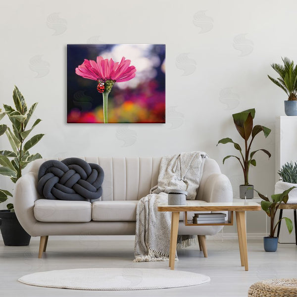 Stupell Industries Karen Burke | Ladybug With Pink Flower Wall Art