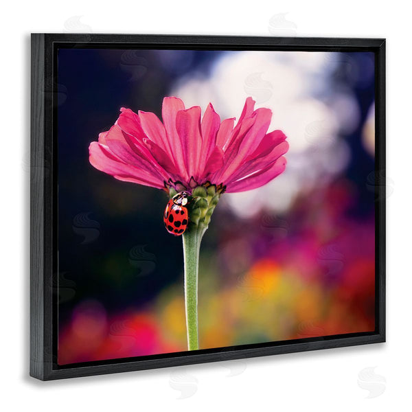 Stupell Industries Karen Burke | Ladybug With Pink Flower Wall Art