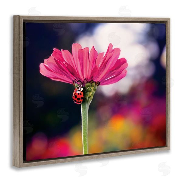 Stupell Industries Karen Burke | Ladybug With Pink Flower Wall Art