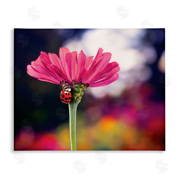 stupell industries Karen Burke | Ladybug with Pink Flower Wall Art