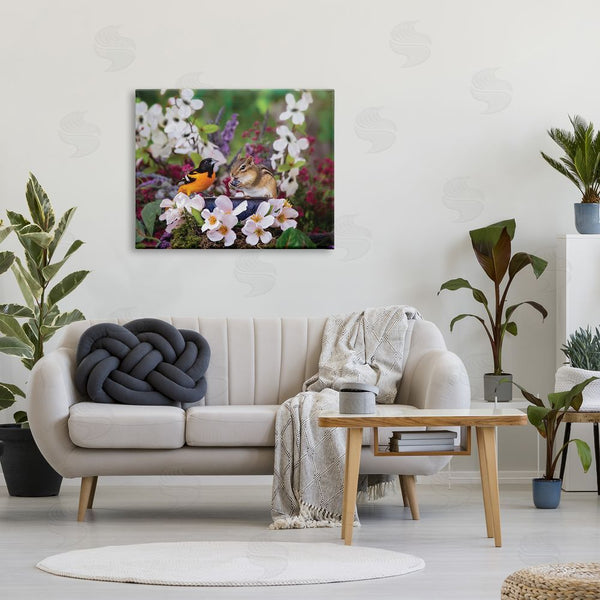 Stupell Industries Karen Burke | Squirrel & Bird In Nature Wall Art