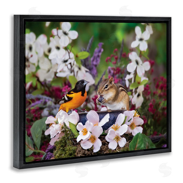 Stupell Industries Karen Burke | Squirrel & Bird In Nature Wall Art