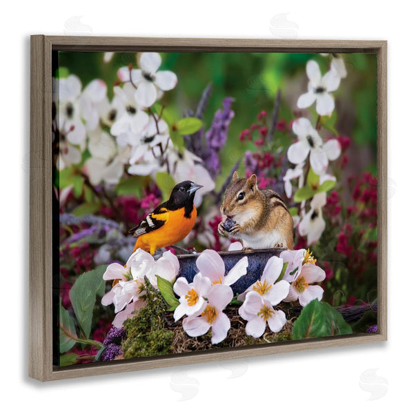 Stupell Industries Karen Burke | Squirrel & Bird In Nature Wall Art