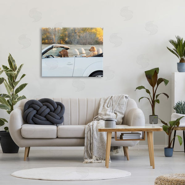 Stupell Industries Karen Hoglund | Dogs Driving Convertible Wall Art
