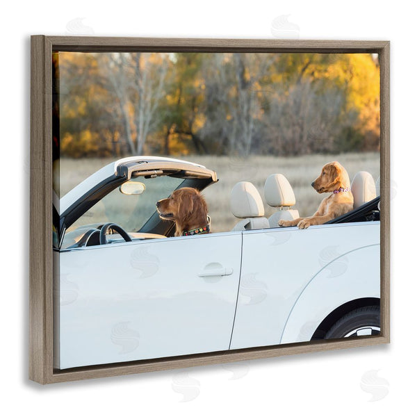 Stupell Industries Karen Hoglund | Dogs Driving Convertible Wall Art