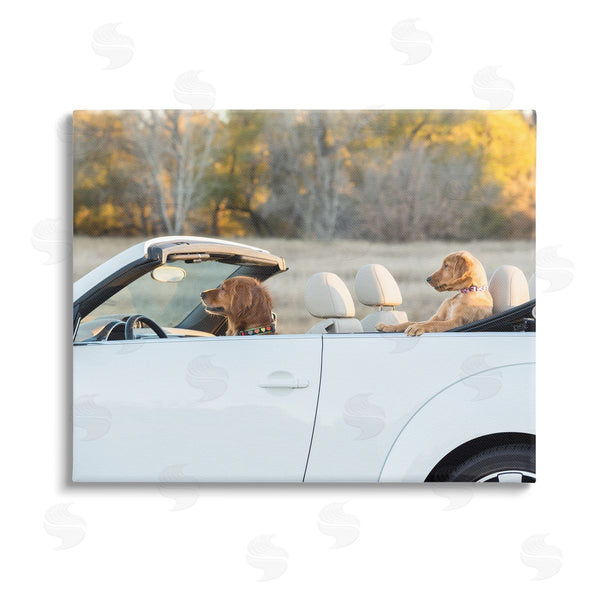 stupell industries Karen Hoglund | Dogs Driving Convertible Wall Art