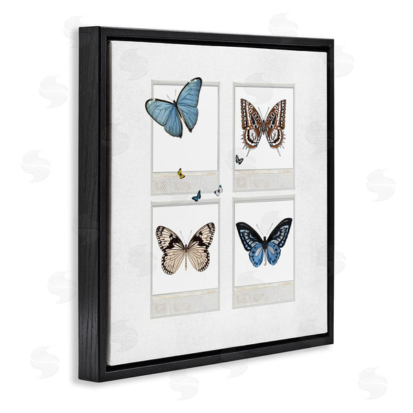 Stupell Industries Karen Smith | Butterflies Vintage Film Nature Wall Art