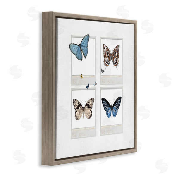 Stupell Industries Karen Smith | Butterflies Vintage Film Nature Wall Art